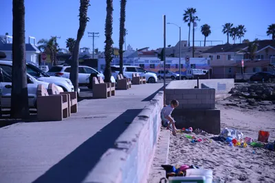 DSC_0823 (Large).JPG